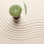 plante-sable-jardin-japonais-zen